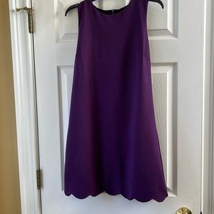 NWT Plum Purple Shift Dress with Scalloped Skirt